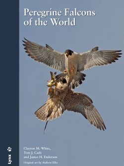 Peregrine Falcons of the World book cover image